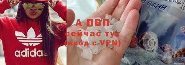 индика Белокуриха